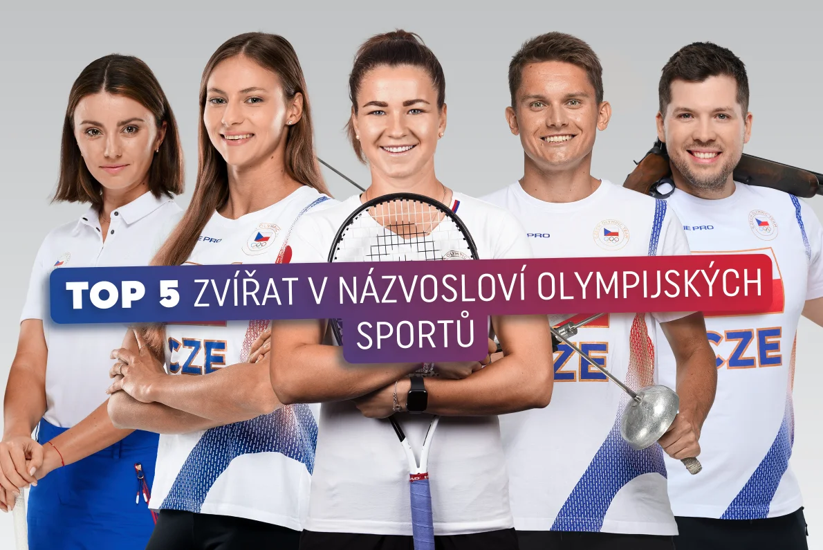 TOP 5 zvířat v názvosloví olympijských sportů